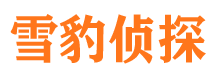 河北外遇出轨调查取证